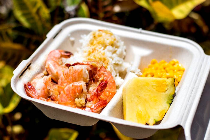 Circle island tour Oahu