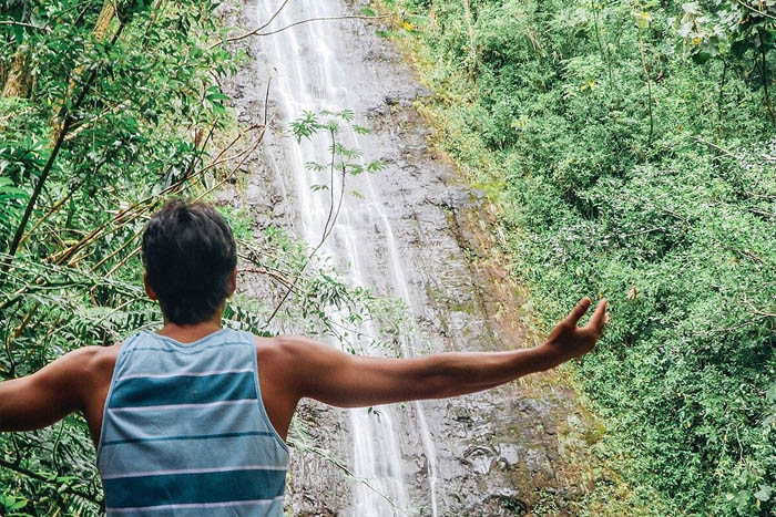 Manoa waterfall hike